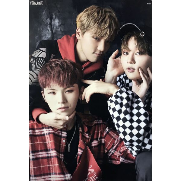 SEVENTEEN | 2ND ALBUM [ TEEN, AGE ] | (UNIT VER.) POSTER ONLY For Discount - Image 5