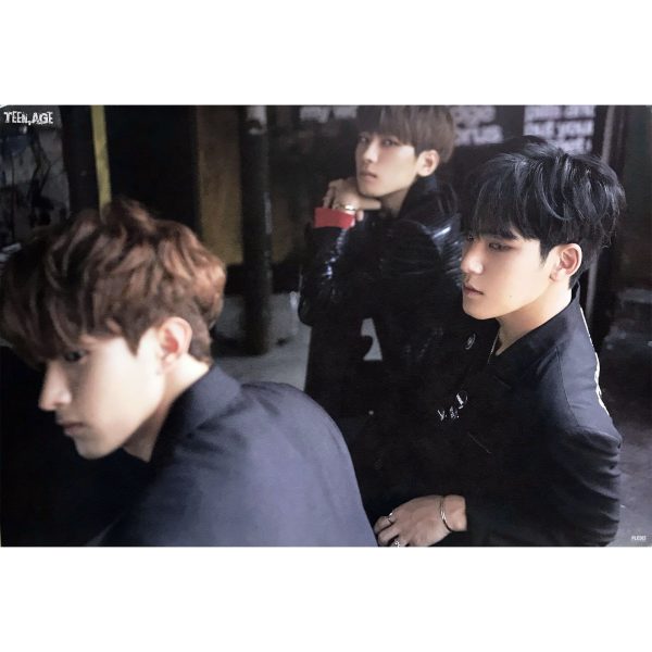 SEVENTEEN | 2ND ALBUM [ TEEN, AGE ] | (UNIT VER.) POSTER ONLY For Discount - Image 3