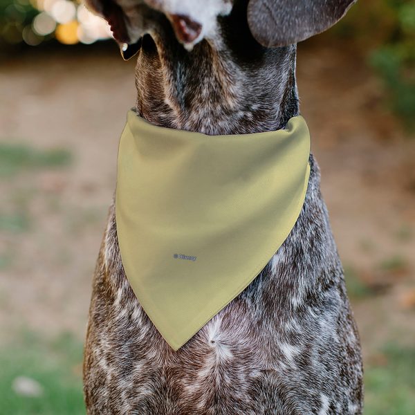 Pet Bandana - Snow White Smiling Face Pose Yellow Hot on Sale - Image 5